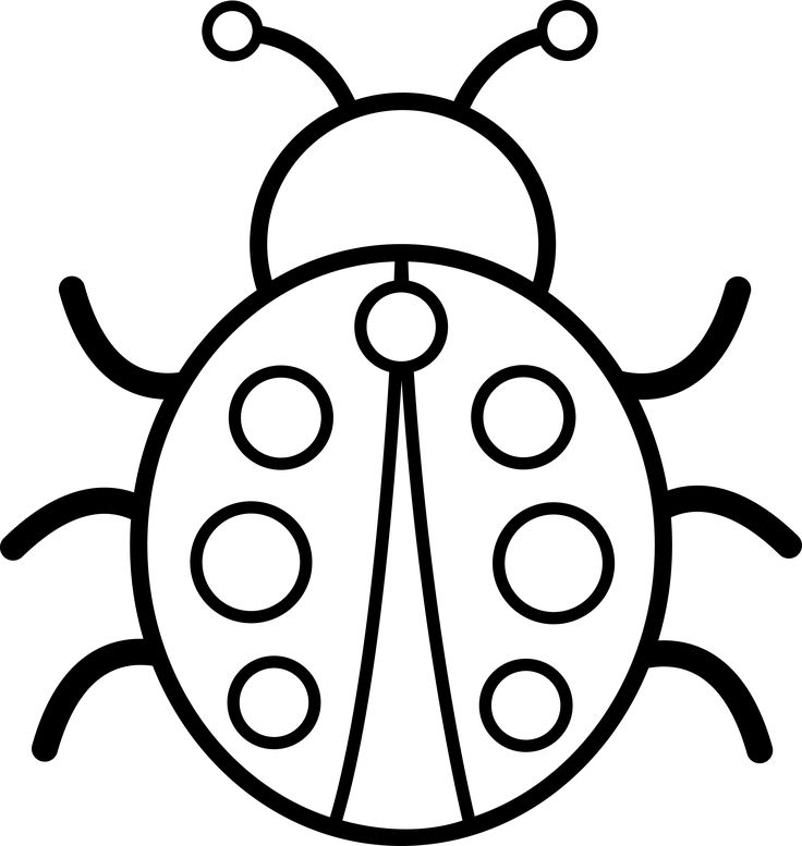 736x777 Bugs Black And White Clipart