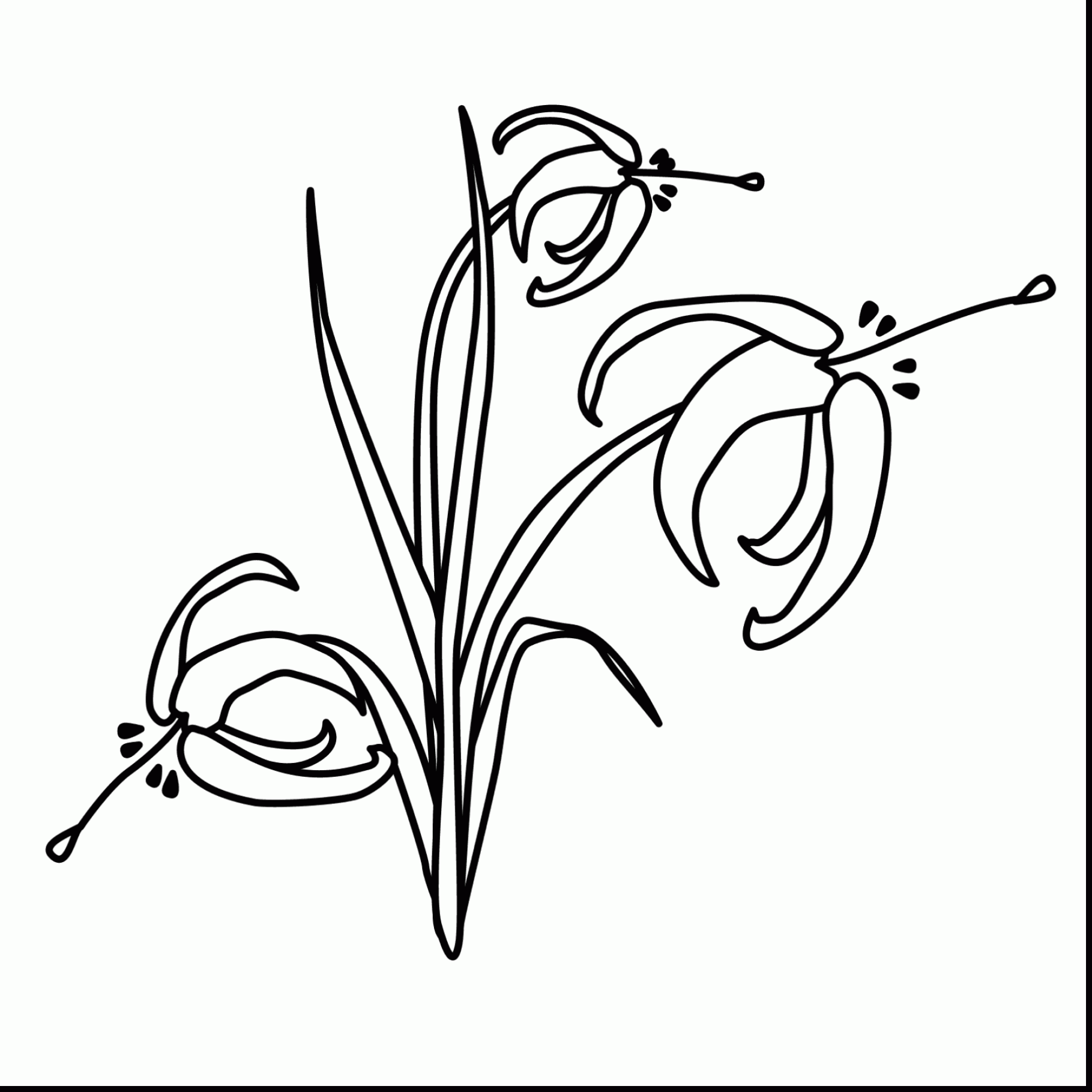 1819x1819 Terrific Kite Coloring Page Butterfly With May Coloring Pages