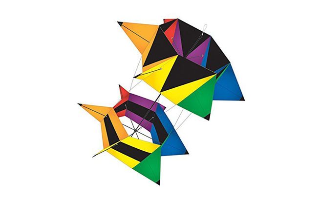 655x410 Just 6 Rad Kites For Celebrating National Kite Flying Day