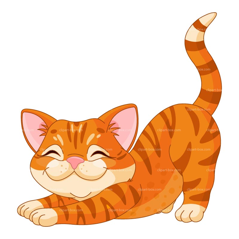 800x800 Kitten Clip Art Many Interesting Cliparts