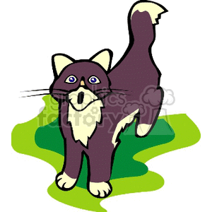 300x300 Royalty Free Fluffy Kitten Meowing 130985 Vector Clip Art Image