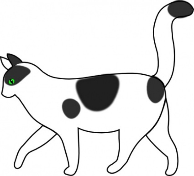 626x568 White Kitten Clipart