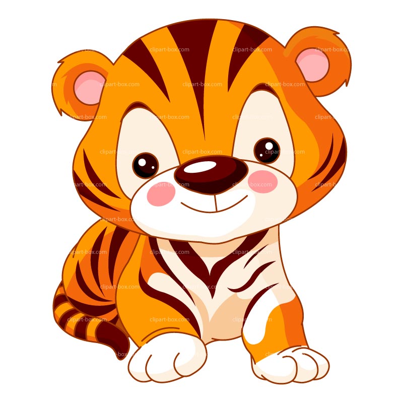 800x800 Big Cat Clipart Baby Kitten