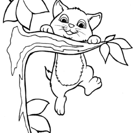 268x268 Cute Kitten Coloring Page Free Printable Coloring Pages Coloring