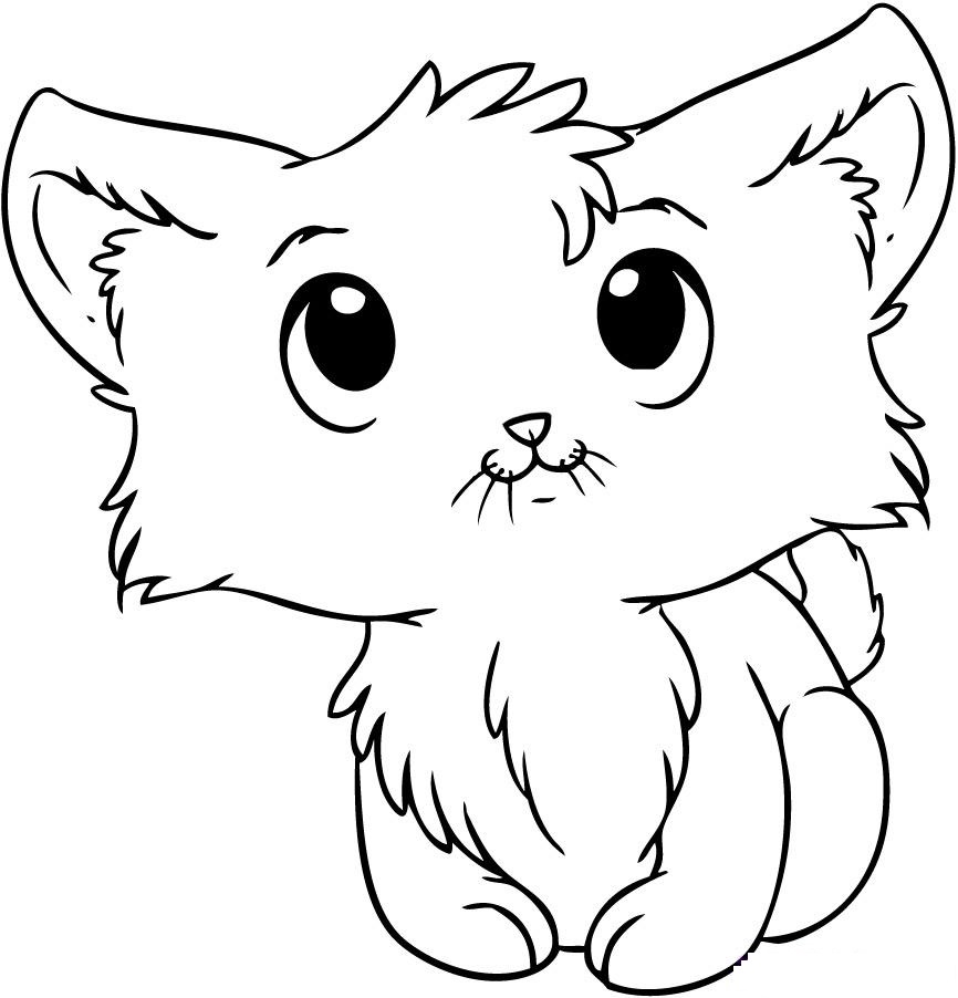 866x902 Cute Kitten Coloring Pages