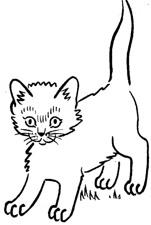 517x770 Kitten Coloring Pages Coloring Pages For Girls