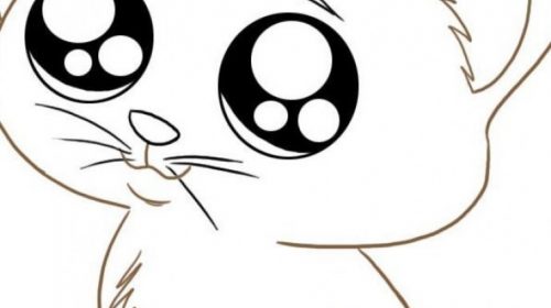 500x280 Kitten Coloring Pages Inspirational Cat Color Pages Printable