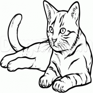 320x320 Kittens Clip Art
