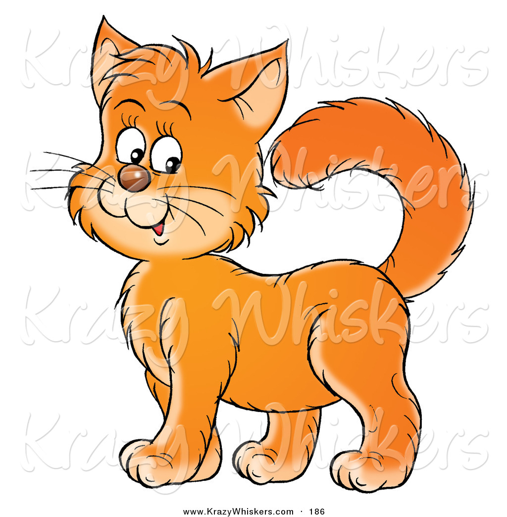 1024x1044 Cat Animal Clipart, Explore Pictures