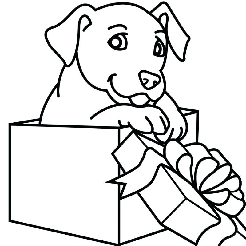 800x800 Superb Astonishing Coloring Pages Puppies And Kittens New Cute