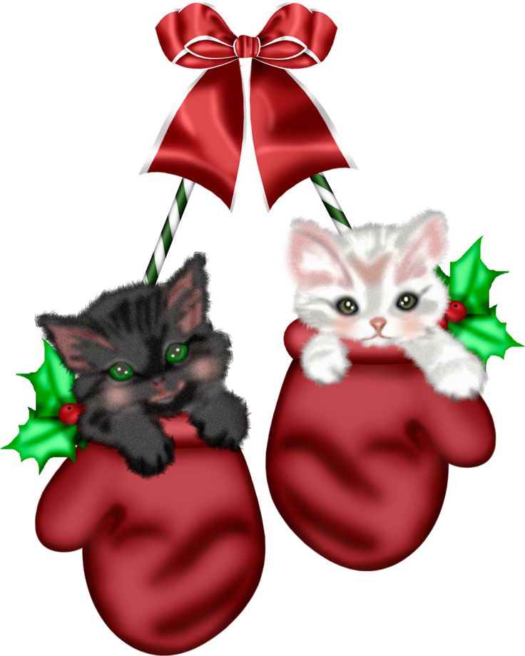 736x920 Kittens Clipart Christmas