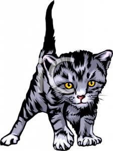 225x300 Kittens Clipart Striped Cat