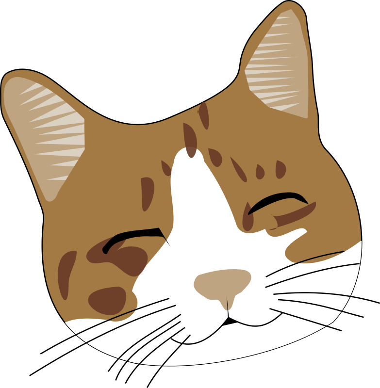 783x800 Kittens Clipart Kitty Face