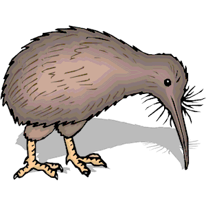 300x300 Bird Clipart Kiwi
