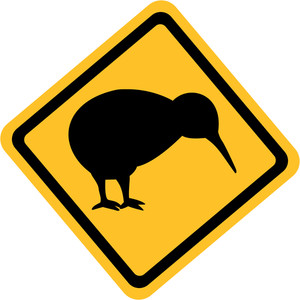 300x300 Happy Kiwi Royalty Free Stock Image