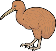 180x163 Search Results For Kiwi