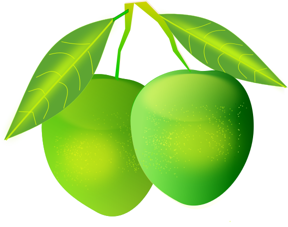 577x454 Free Kiwi Fruit Clipart