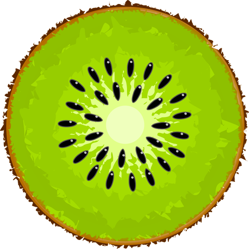 500x500 Kiwi Public Domain Vectors