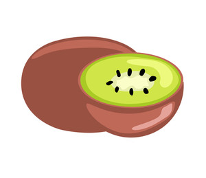 300x259 Kiwi Fruit On Branch Illustration Royalty Free Stock Image