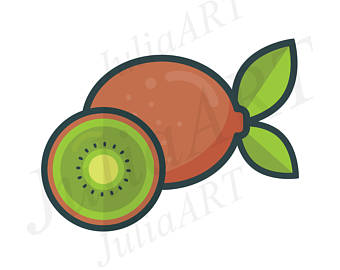 340x270 Kiwi Illustration Etsy
