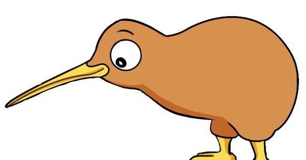 600x315 Top 10 Kiwi Clip Art