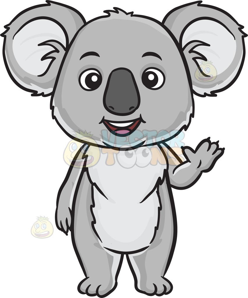 852x1024 Koala Bear Clipart Drawn