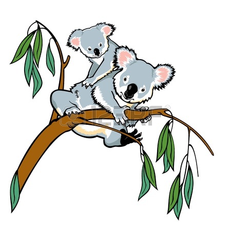 450x450 Koala With Joey Climbing Eucalyptus Tree,picture Isolated