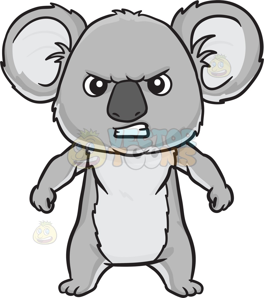 910x1024 Koala Clipart Angry