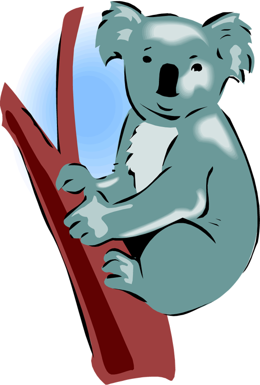 507x750 Koala Clipart Free Clip Art 2
