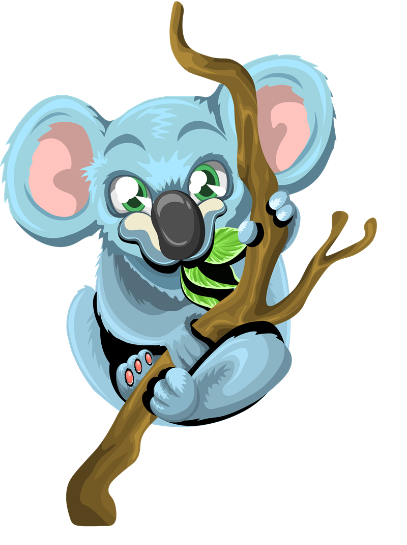 800x1070 Top 90 Koala Clip Art