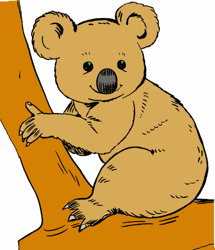 698x811 Koala Clipart Free Clip Art 2
