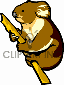 226x300 Top 78 Koala Clipart