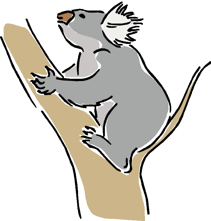 700x735 Eucalyptus Tree Koala Clipart, Explore Pictures