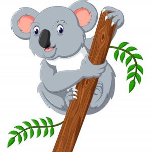 300x300 Koala Kids' Corner
