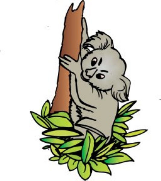 533x600 Koala Clipart Koala