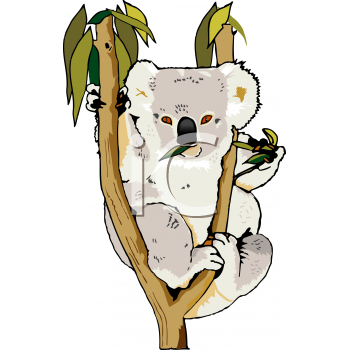 350x350 Royalty Free Koala Clip Art, Marsupial Clipart