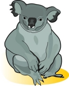 136x170 Top 90 Koala Clip Art