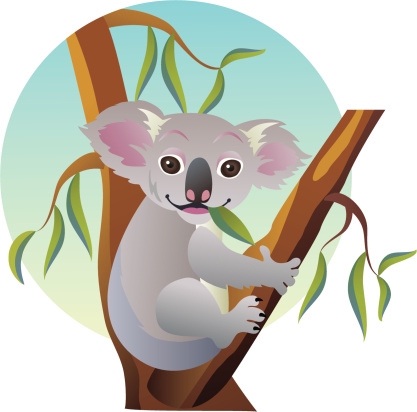 417x412 Koala Clipart Eucalyptus