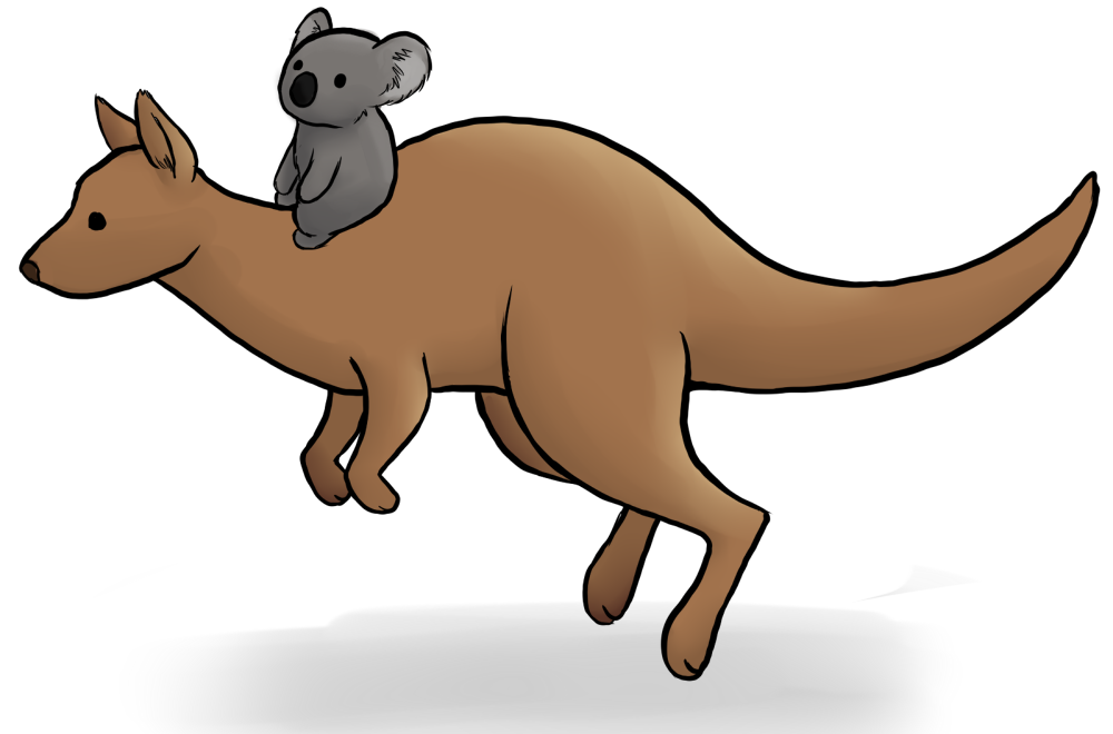 1000x660 Koala Clipart Kangaroo