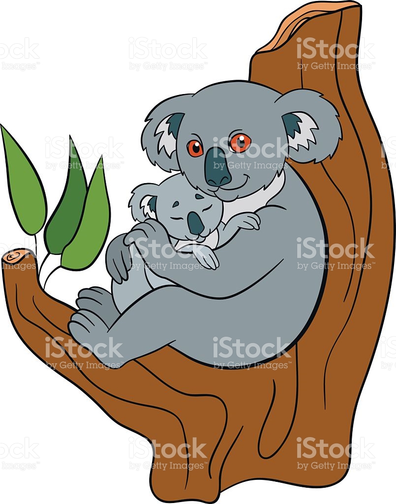 805x1024 Mother Koala Clipart, Explore Pictures