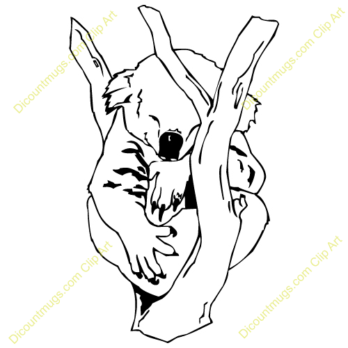 500x500 Sleeping Koala Clipart, Explore Pictures