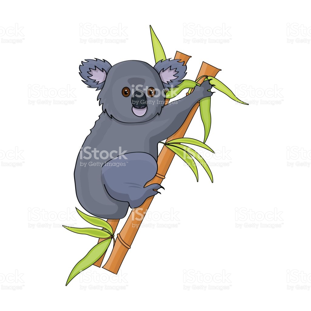 1024x1024 Australian Simbol Koala Clipart, Explore Pictures