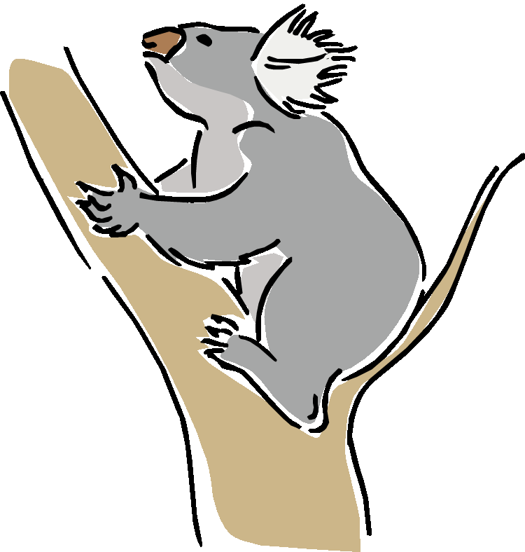 750x788 Free On Tree Branch Koala Clipart