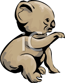 275x350 Koala Bear Clipart Animated