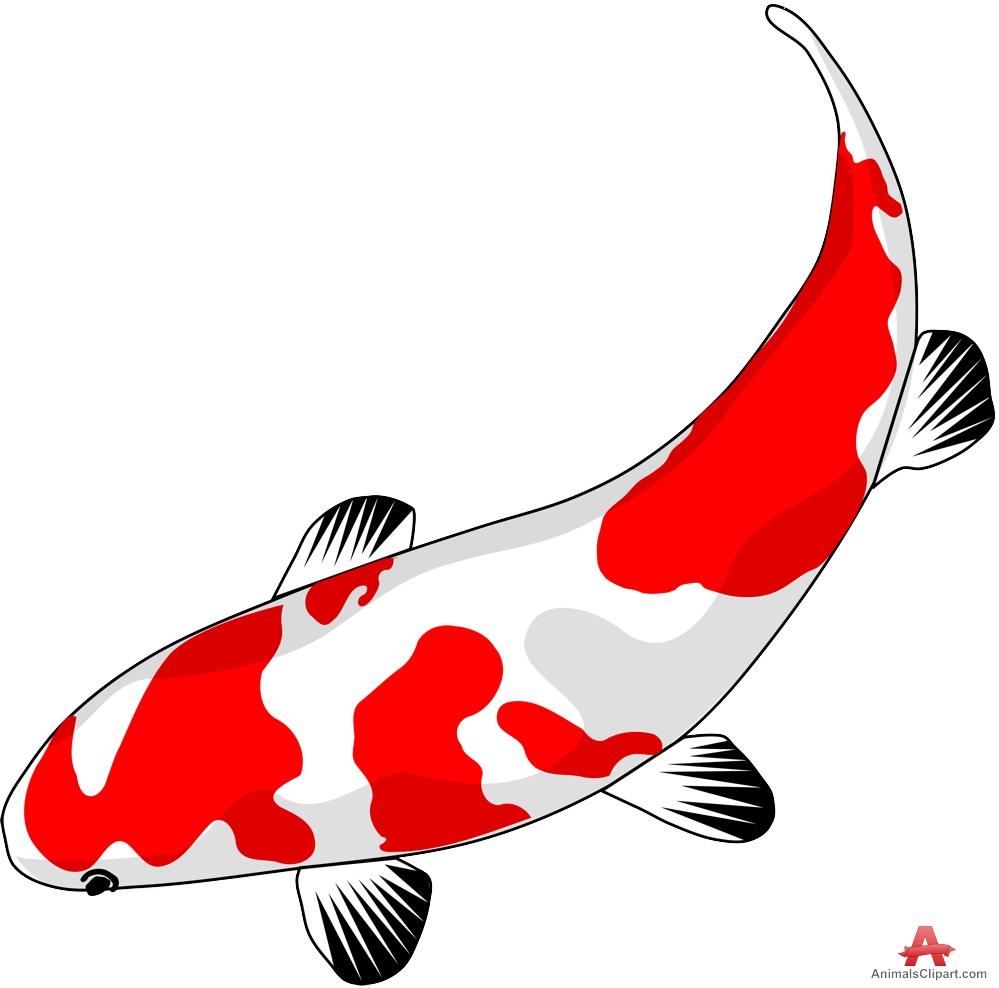 999x988 Koi Fish Clipart