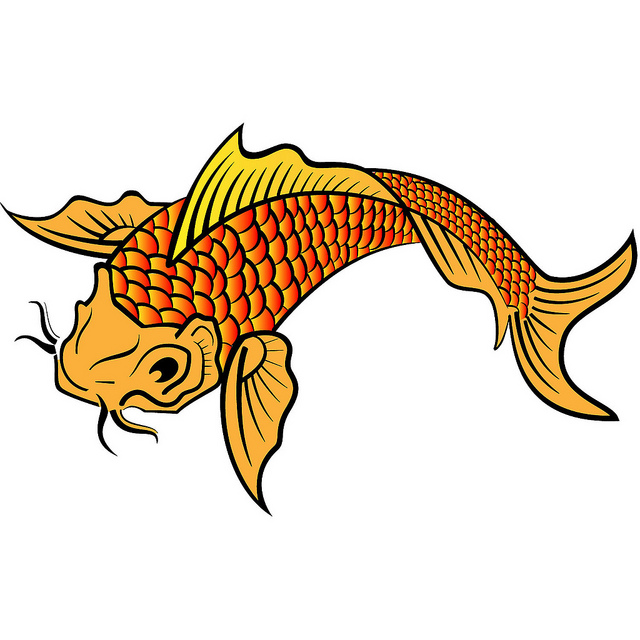 640x640 Koi Fish Clipart Cute