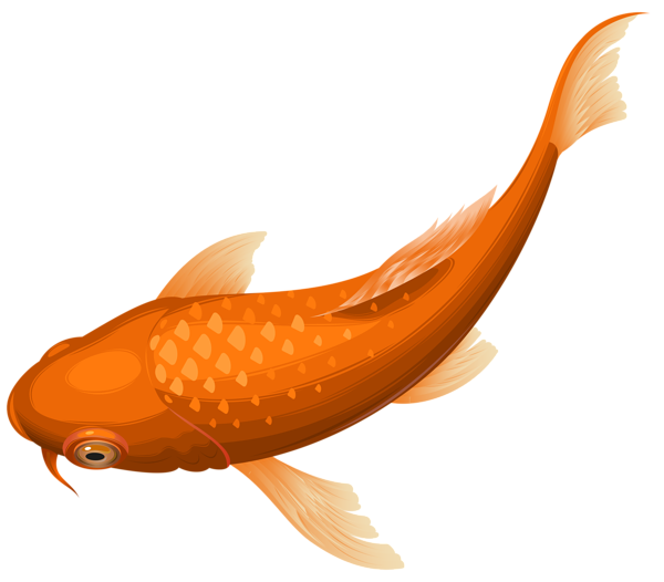 600x526 Orange Koi Fish Transparent Clip Art Png Image Clip Art Mix !!4
