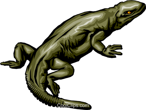 480x362 Komodo Dragon Clip Art