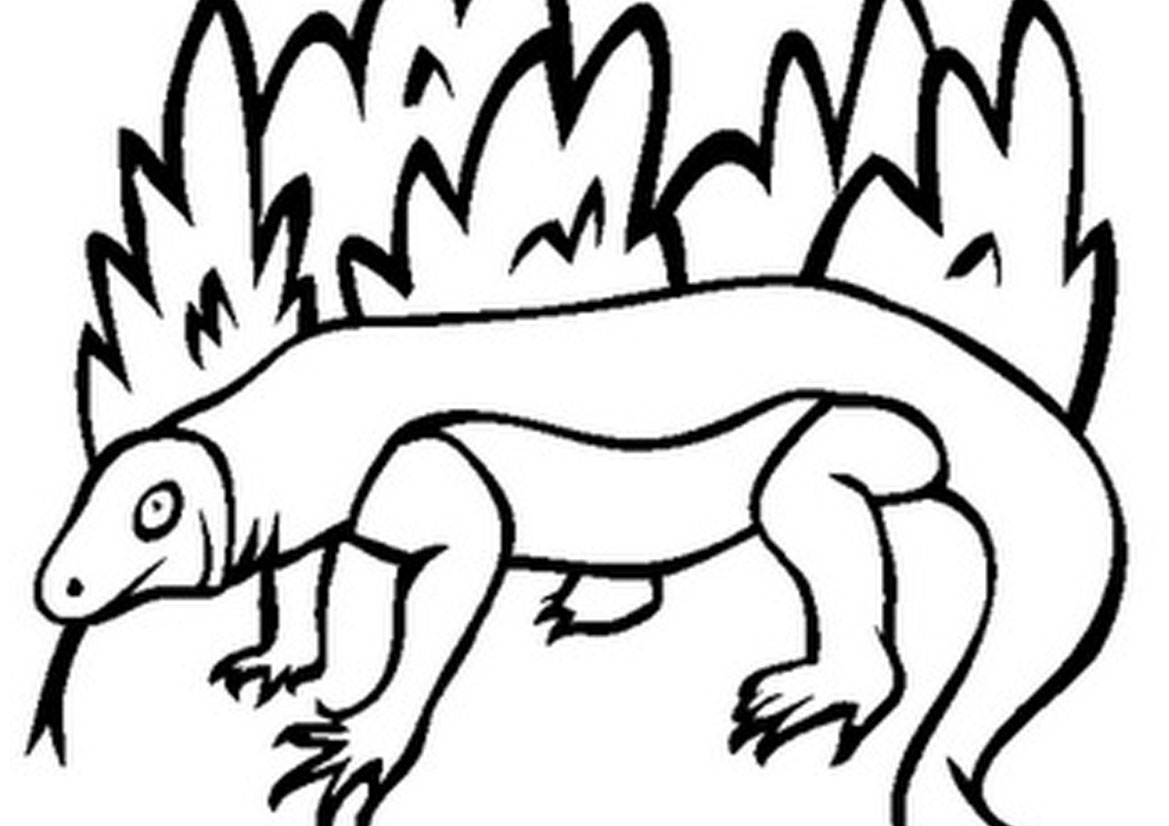 1169x826 Best Komodo Dragon Clipart