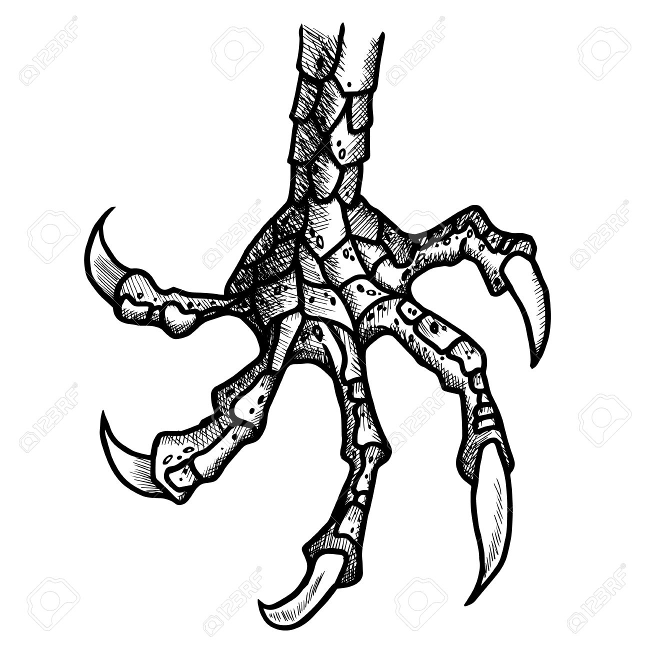 1300x1300 Clawed Dragon Clipart, Explore Pictures